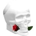 Skulls & Roses for Her by Ed Hardy