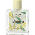 Mimosa by Lefties