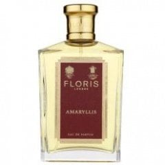 Amaryllis by Floris