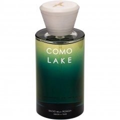 Bacio Nella Pioggia by Como Lake