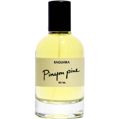 Pinyon Pine by Saguara