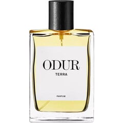 Terra by Odur