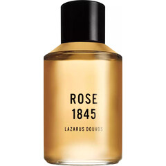 Rose 1845 by Lazarus Douvos