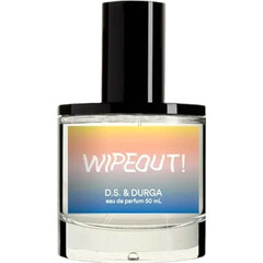 Wipeout! by D.S. & Durga