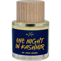 One Night In Kashmir by nXn