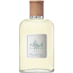 Polo Earth - Provencial Sage by Ralph Lauren