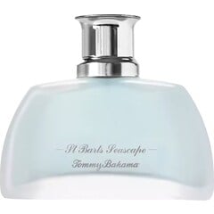St. Barts Seascape Men by Tommy Bahama