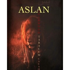 Aslan by Yaaseen