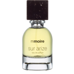 Sur Arize by Mmoire