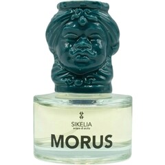 Morus by Sikelia - Acque di Sicilia