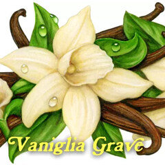 Vaniglia Grave by Pulp Fragrance