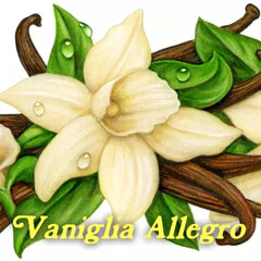Vaniglia Allegro by Pulp Fragrance