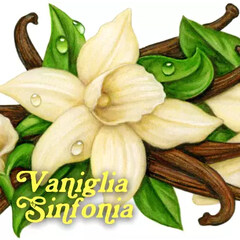Vaniglia Sinfonia by Pulp Fragrance