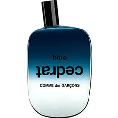 Blue Invasion - Blue Cedrat by Comme des Garçons