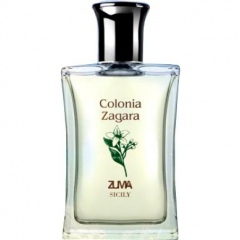 Colonia Zagara by Zuma