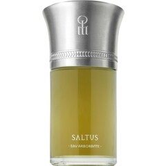 Saltus by Liquides Imaginaires