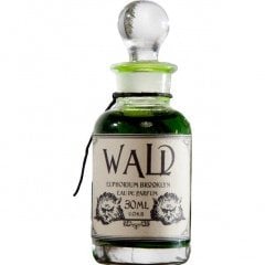 Wald (Perfume Oil) by Euphorium Brooklyn