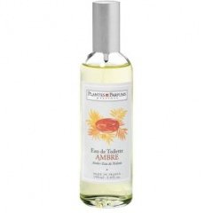 Ambre by Plantes & Parfums