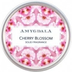 Cherry Blossom by Amygdala