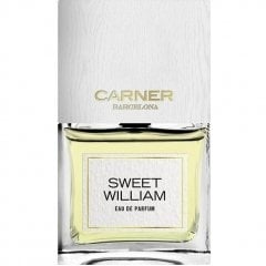 Sweet William by Carner