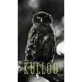 Kulloo by Jogi