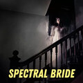 Spectral Bride by Pulp Fragrance