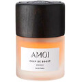 Coup de Boost - Energie by Amoi