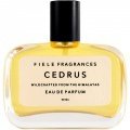 Cedrus by Fiele Fragrances